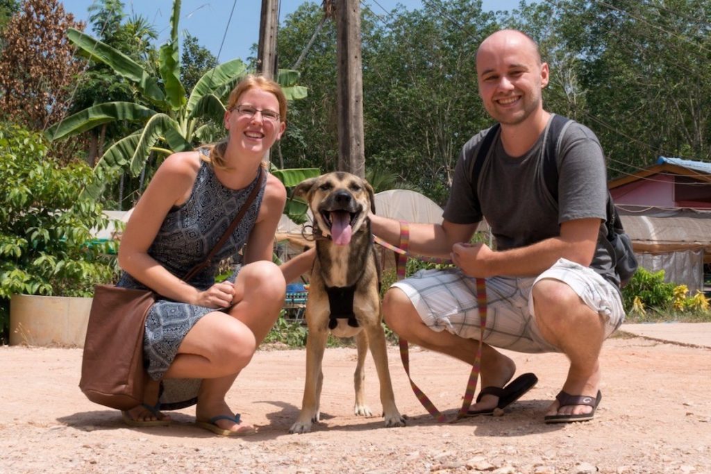 Fotoshooting mit einem der Hunde im Lanta Animal Welfare