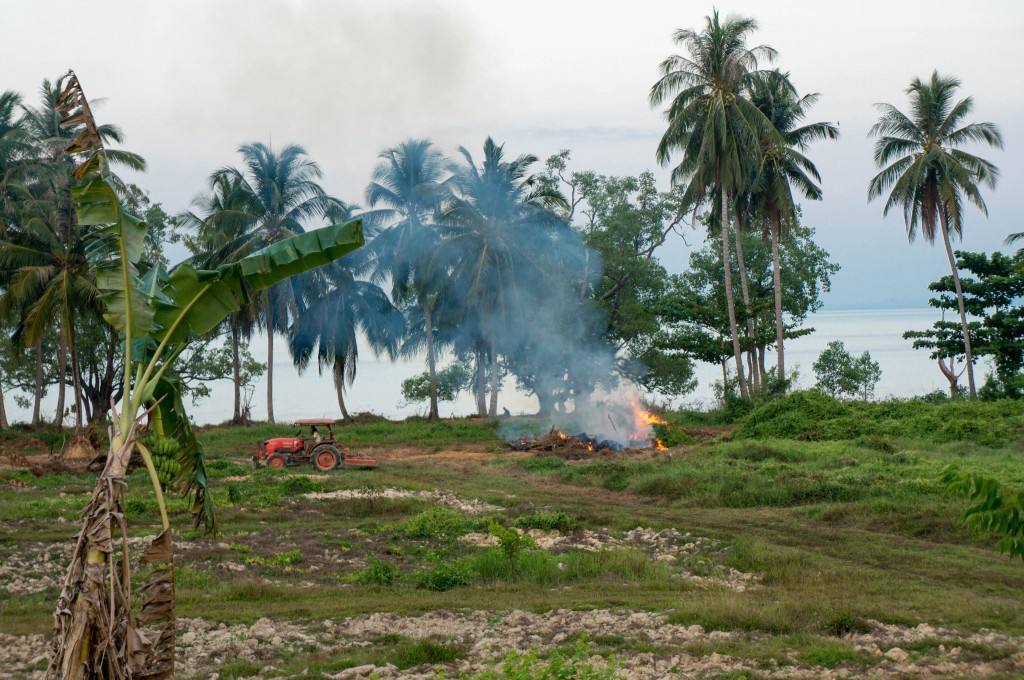 Auch an Orten in Thailand betreiben Farmer Brandrodung. Hier: der Südosten Koh Lantas