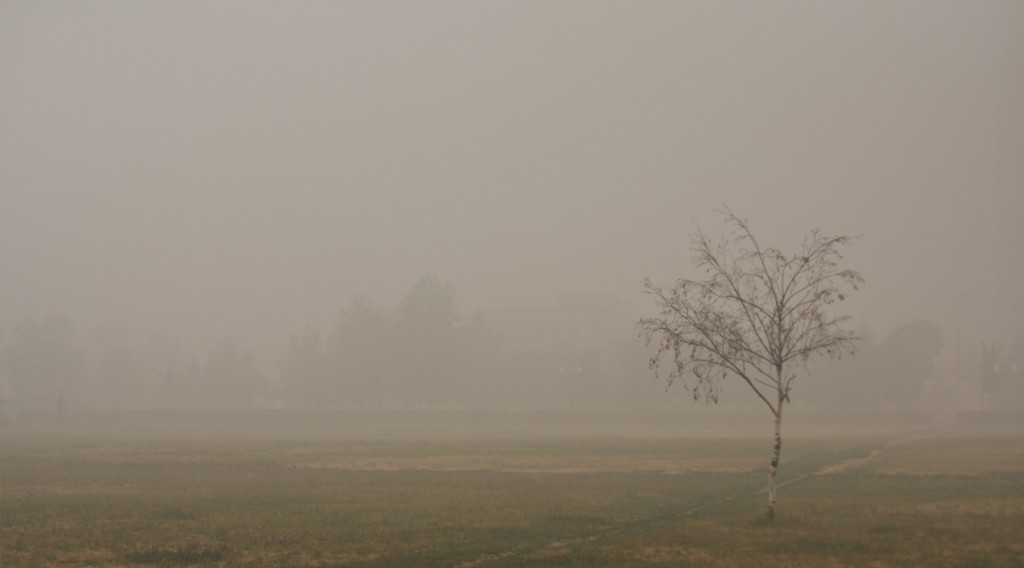 Gesundheitsbelastung durch Smog | Foto: Mika Stetsovski
