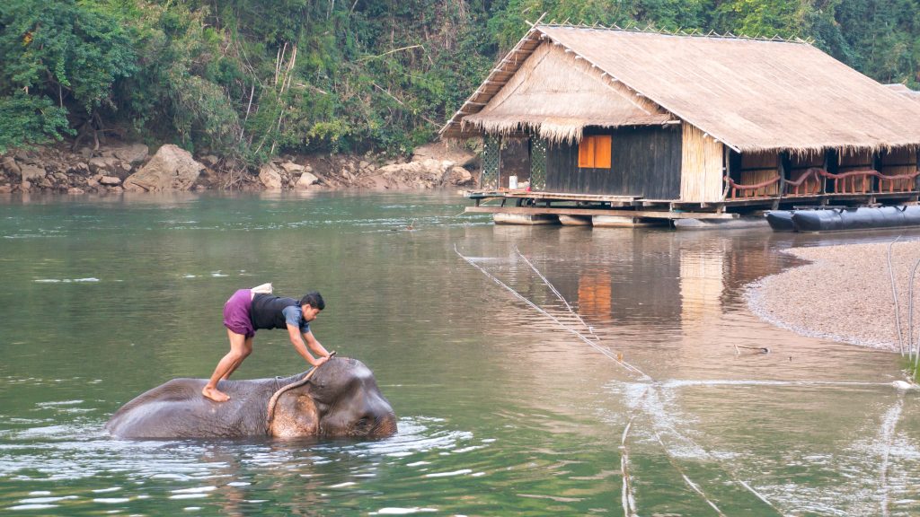 Mahut mit Elefant neben unserer Unterkunft auf dem River Kwai