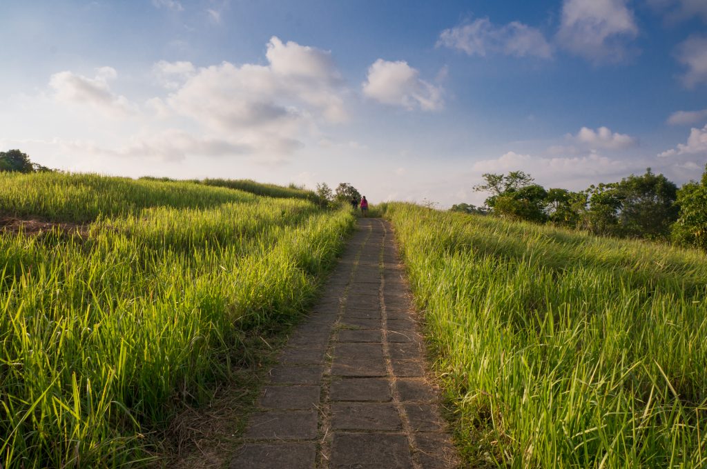 Der Campuhan Ridge Walk in Ubud