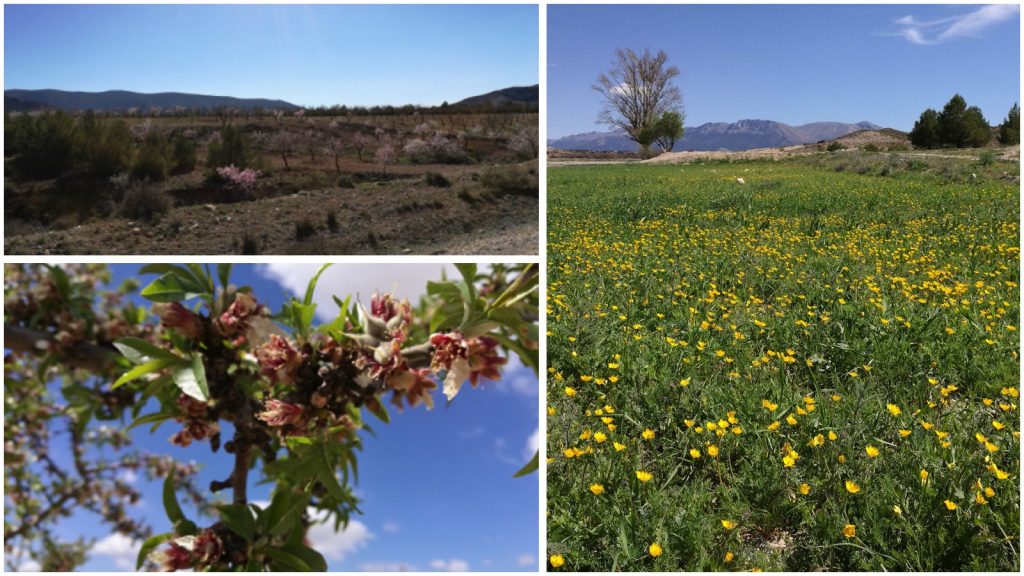 Spanien im Frühling