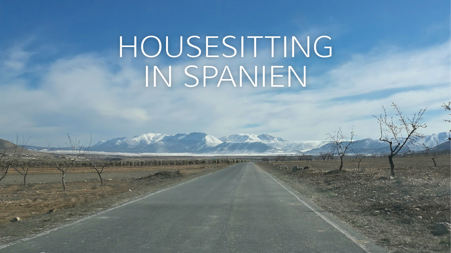 Housesitting in Spanien