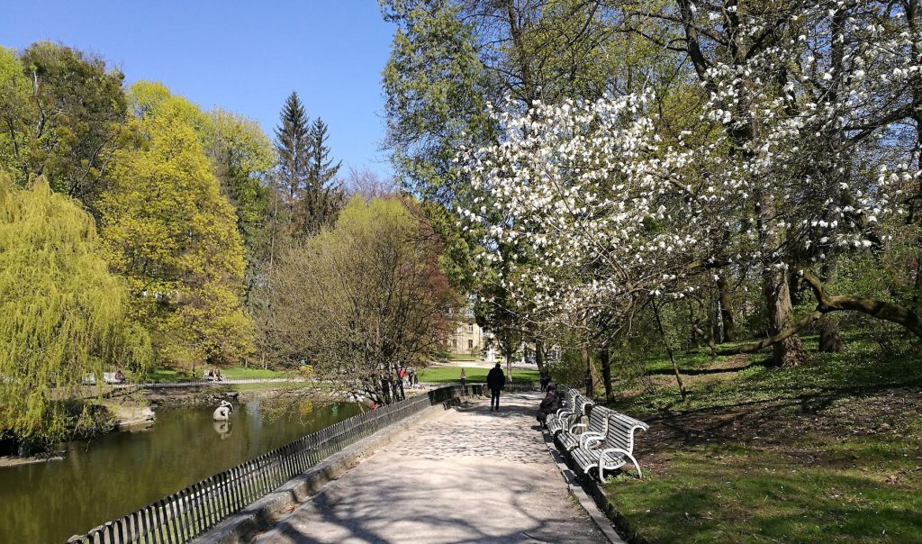 Teich im Stryisky Park